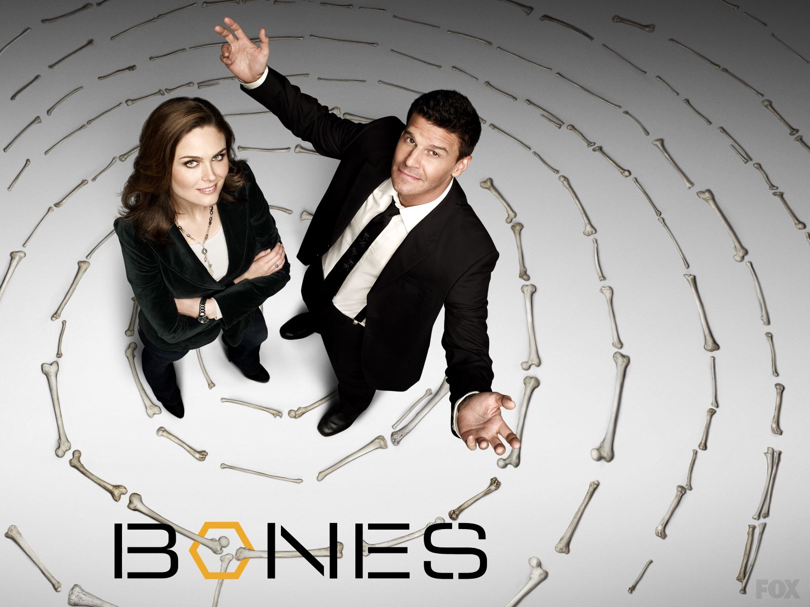 Fox To Premiere The Final Season Of Bones In January Cultjer 8670