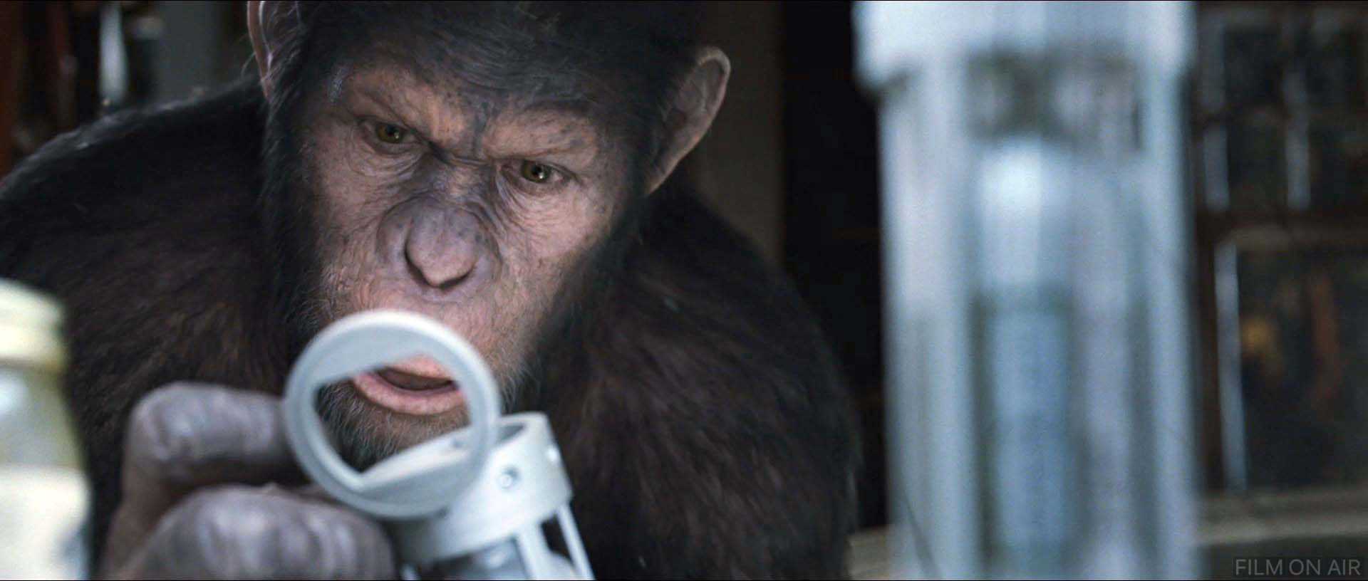 Ape Inspects
 in Rise of the Planet of the Apes in Rise of the Planet of the Apes