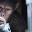 Ape Inspects
 in Rise of the Planet of the Apes