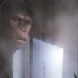 Ape Mouth
 in Rise of the Planet of the Apes