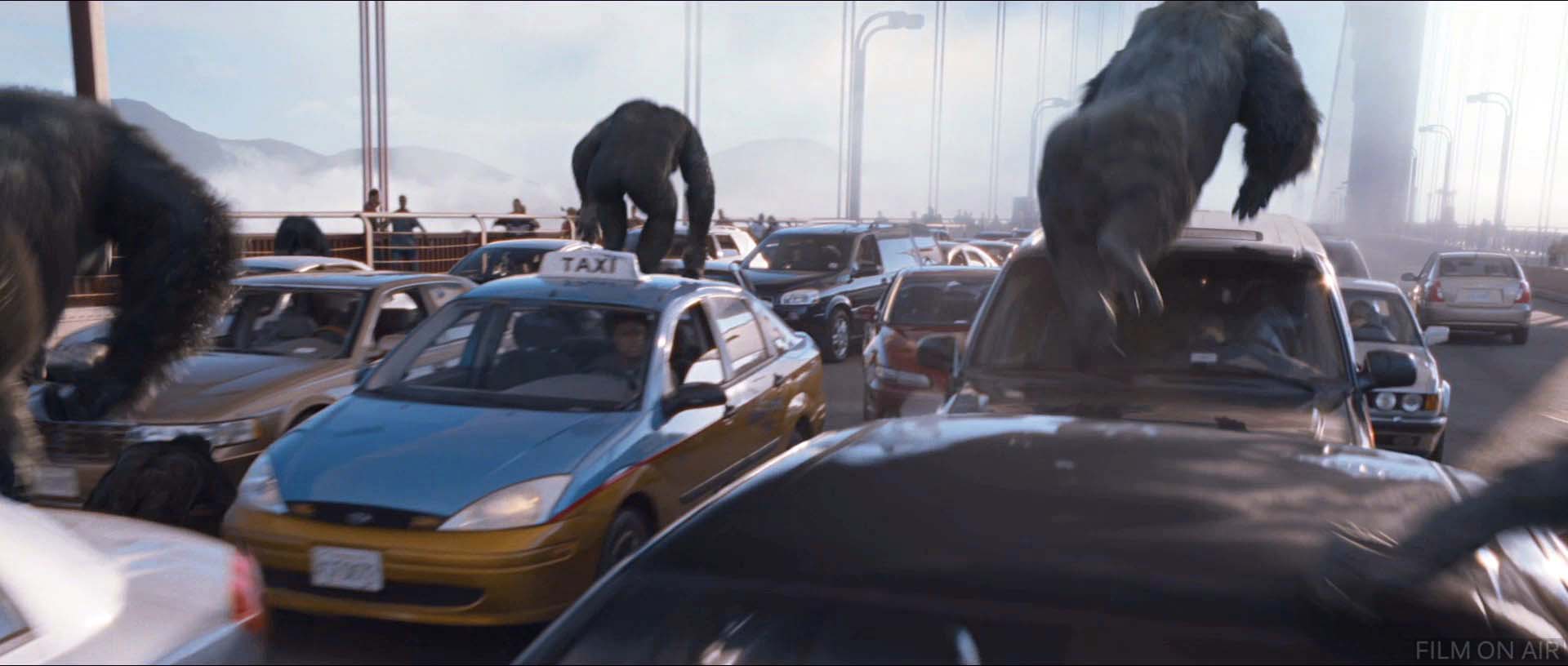 Apes On Cars
 in Rise of the Planet of the Apes in Rise of the Planet of the Apes