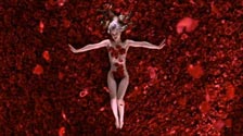 American Beauty