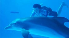 Dolphin Tale