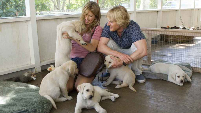 Marley and Me clips, interviews and trailers | Cultjer | Cultjer