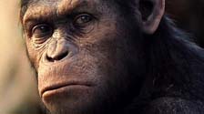 Rise of the Planet of the Apes