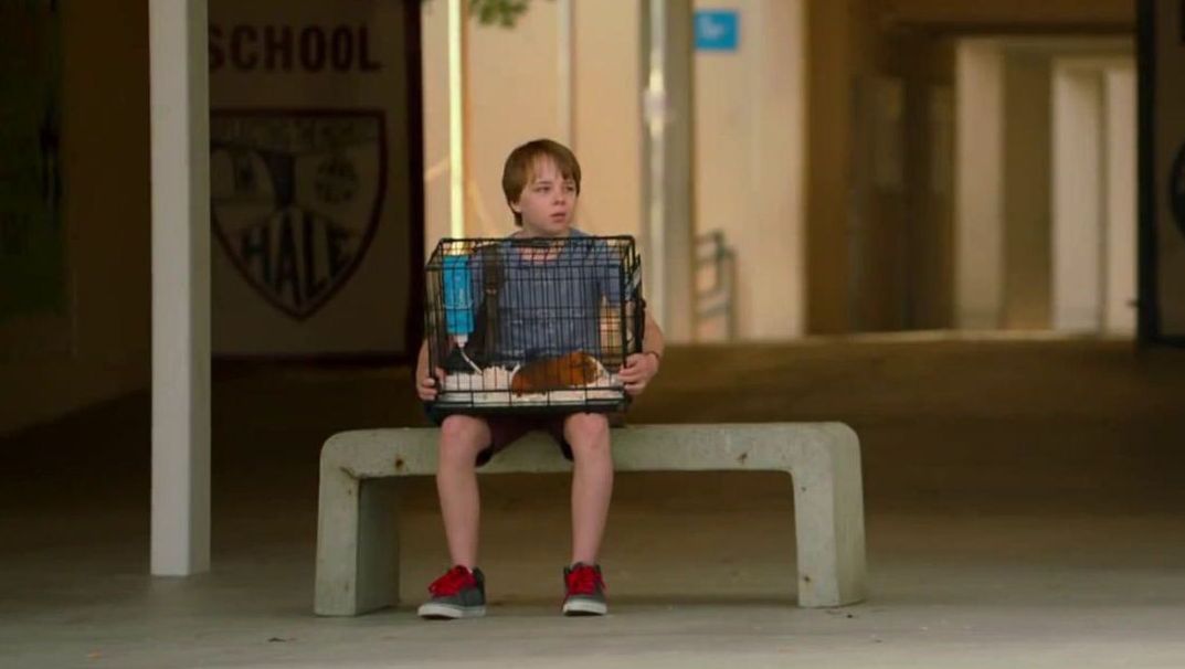 Ed Oxenbould sitting in front of school with his pet