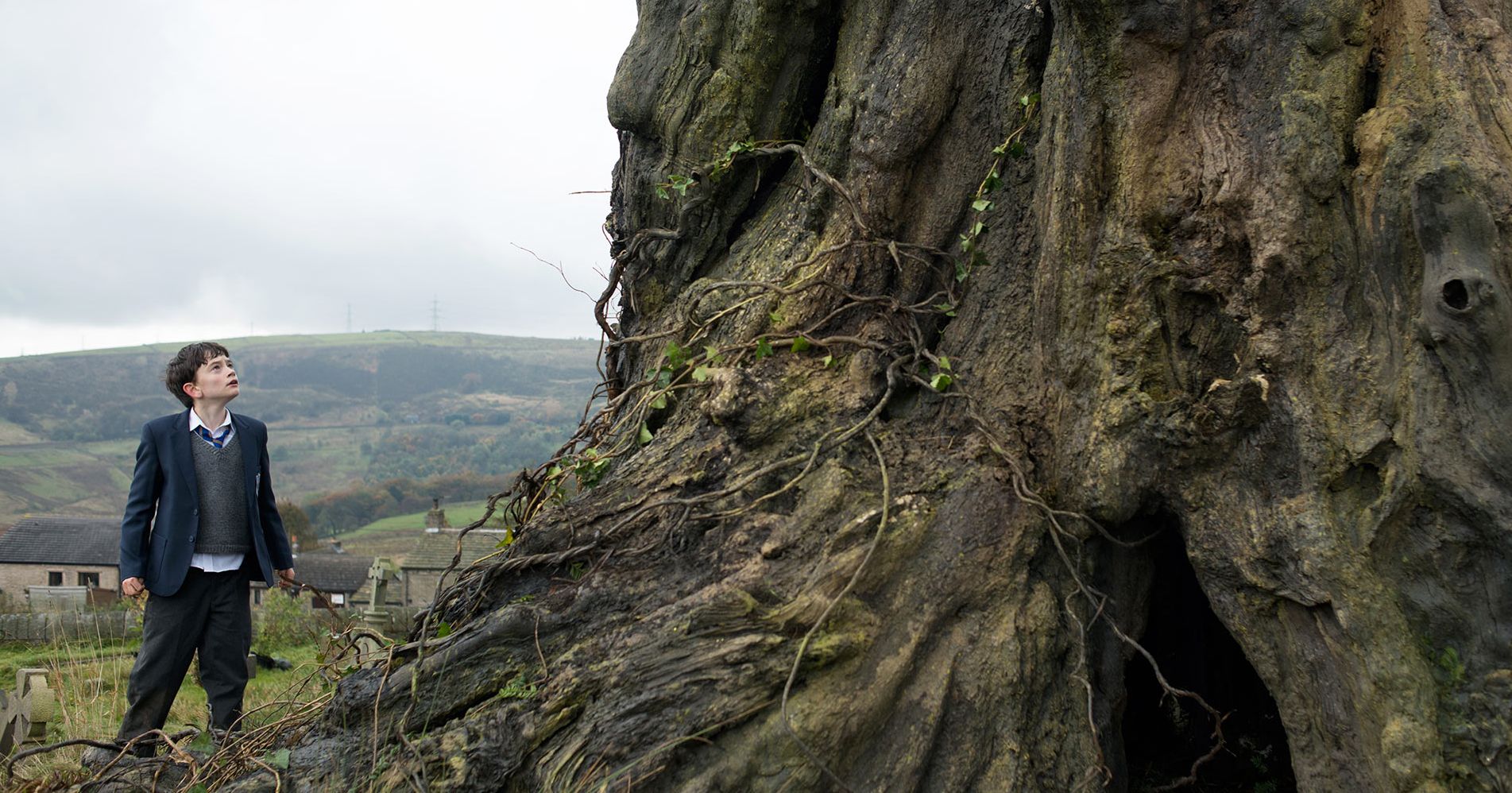 Coner at the tree