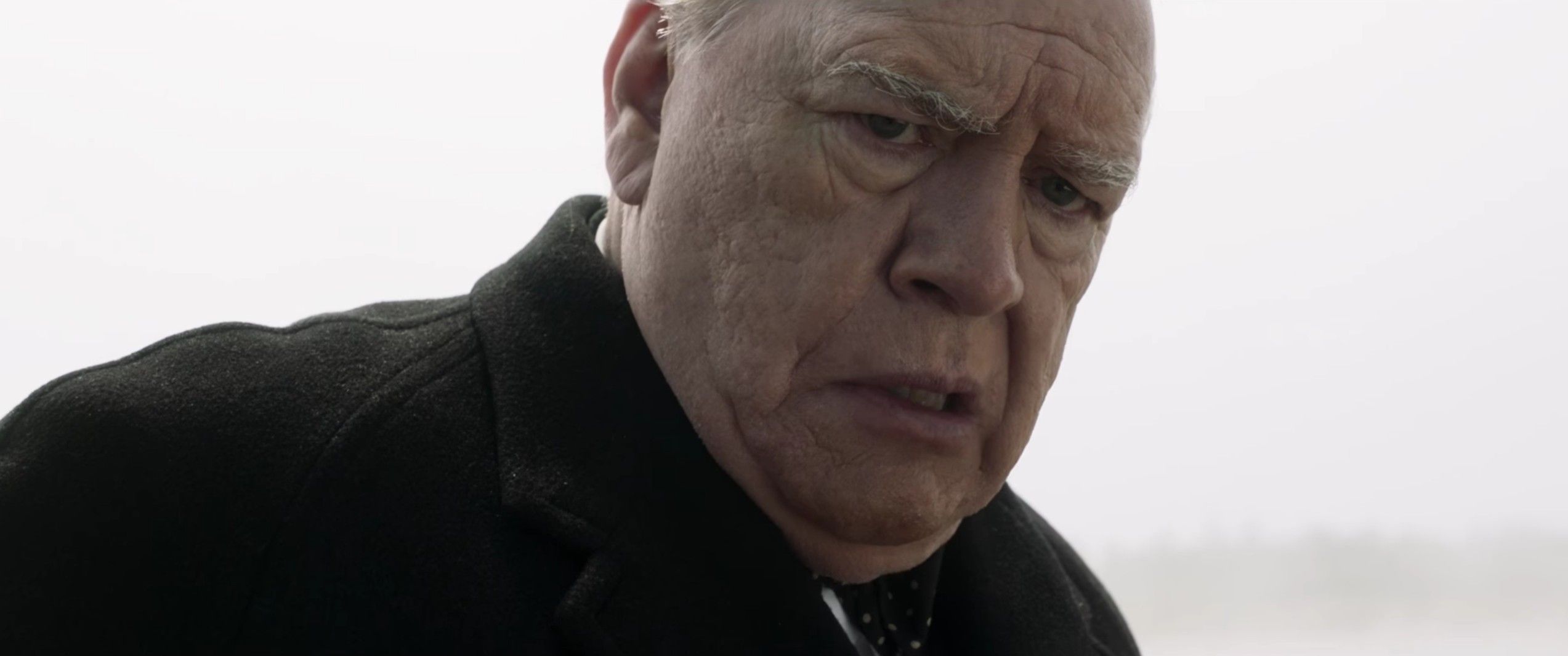 Brian Cox as Winston Churchill