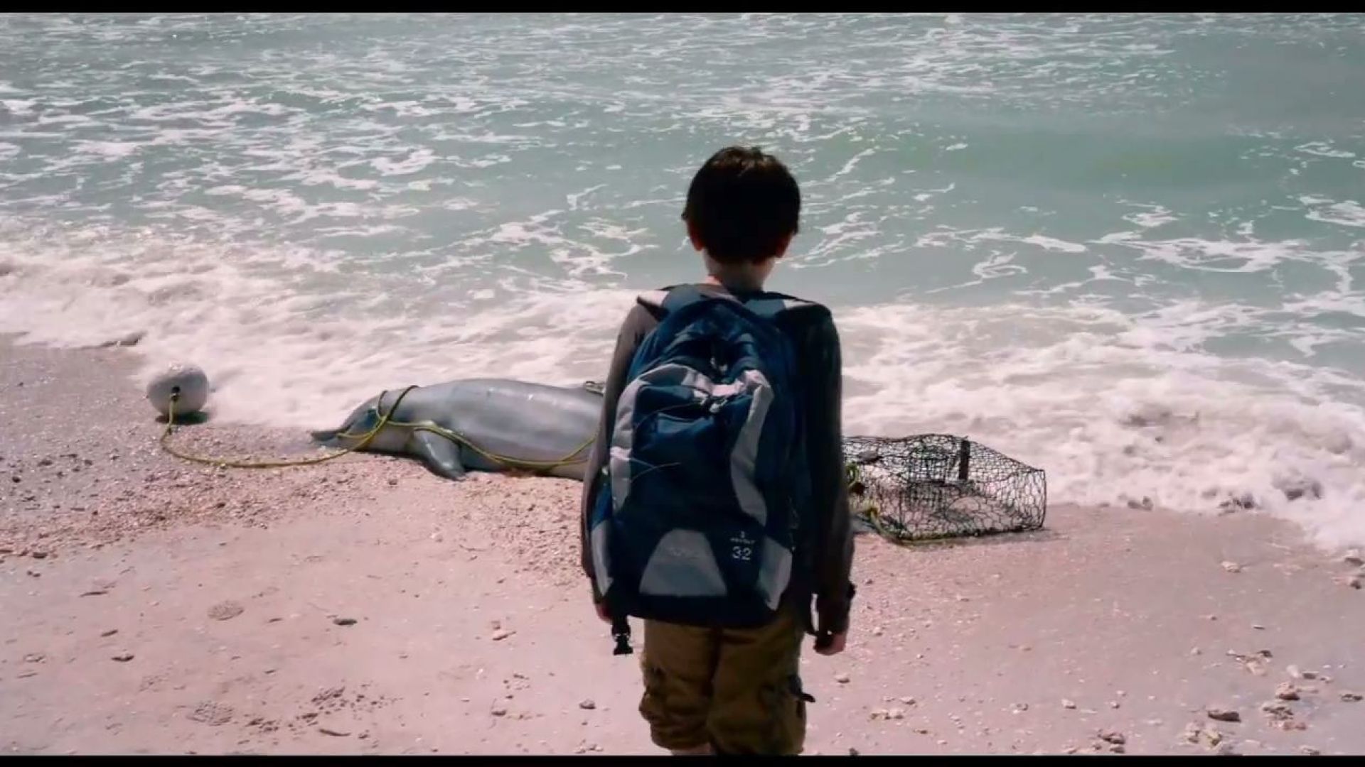 How is she gonna live if she can&#039;t swim? Dolphin Tale